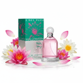 Halloween Water Lily - Con Elementos