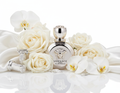 Versace Eros Pour Femme - Con Elementos Plateado